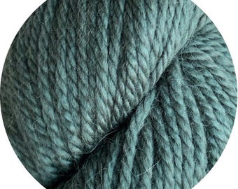 May include: A skein of teal blue yarn, a soft and fuzzy wool blend.