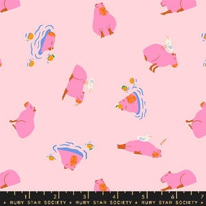 Peut inclure: Tissu rose avec un motif répété de capybaras de dessin animé dans diverses poses. Certains capybaras sont dans l'eau, d'autres ont des oiseaux dessus. Le tissu porte le texte "RUBY STAR SOCIETY" en bas.