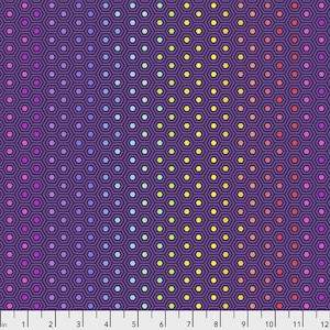 True Colors - Tula Pink - Hexy Rainbow - Starling Purple PWTP150.Starling 125