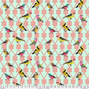 Moon Garden by Tula Pink - In a Finch - Dawn - PWTP198.DAWN 125