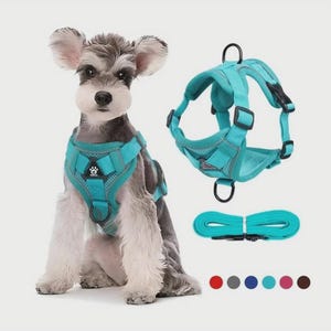 Harnais anti-traction pour chien et chat - Gilet en filet réfléchissant, respirant et réglable pour animaux de compagnie