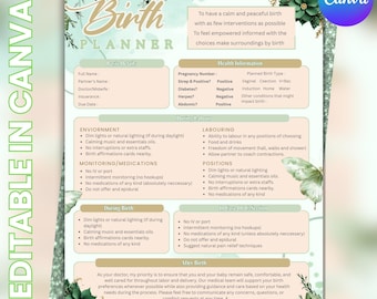 Editable Birth Plan, Labor & Delivery Preferences Template, Hospital Guide, DIY Text, Instant Download