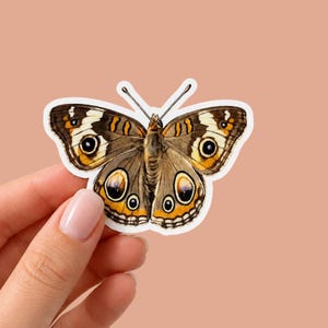 May include: A sticker featuring a detailed illustration of a butterfly. The butterfly has brown, tan, yellow, and white markings. The sticker is on a white background and is held by a hand.