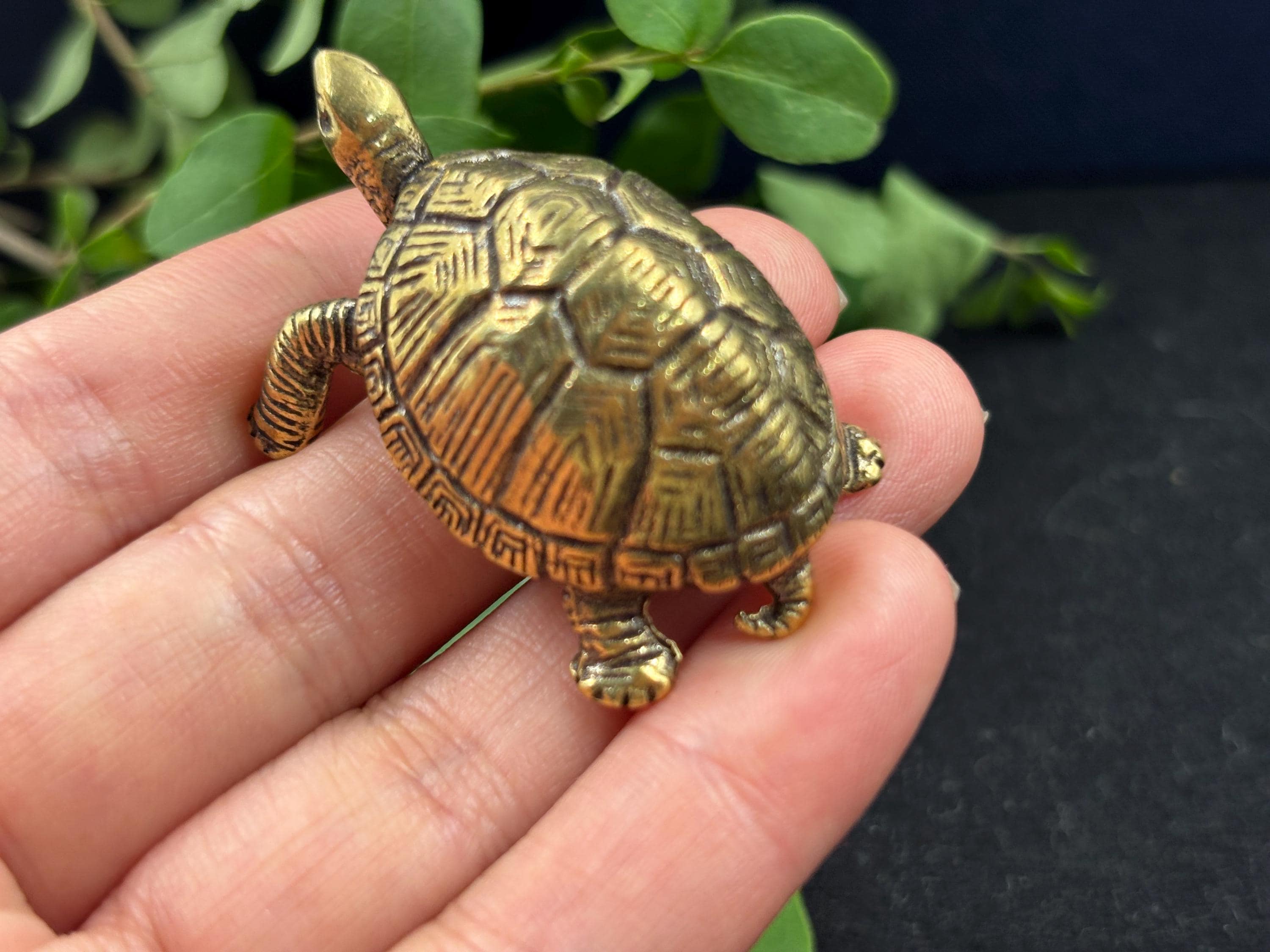 Turtle Paperweight - Etsy