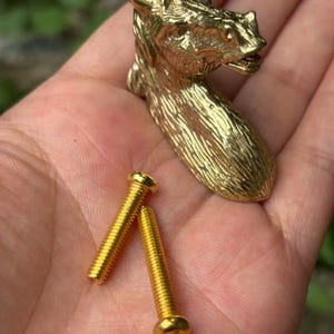 May include: A gold-toned metal cabinet knob shaped like a horse head with a textured mane and facial features, accompanied by two matching gold-colored threaded metal screws for installation, presented as a set of hardware components.