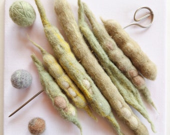 Genetics - art textile 3-D picture collage of handmade felt - bean pods on a skewer - wool, metal, canvas on wooden subframe