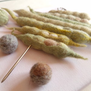 Genetics art textile 3-D picture collage of handmade felt bean pods on a skewer wool, metal, canvas on wooden subframe image 5