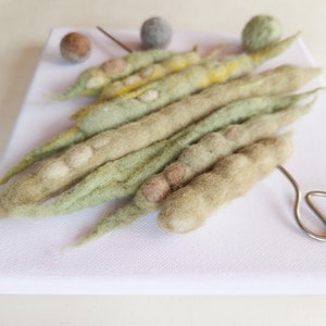 Genetics art textile 3-D picture collage of handmade felt bean pods on a skewer wool, metal, canvas on wooden subframe image 3