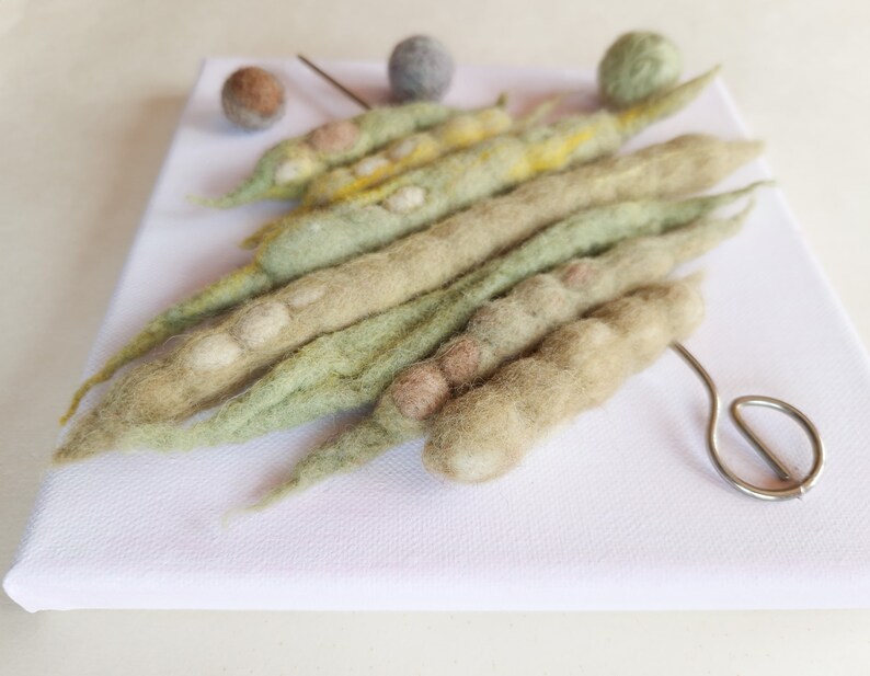 Genetics art textile 3-D picture collage of handmade felt bean pods on a skewer wool, metal, canvas on wooden subframe image 3