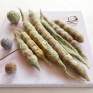 Genetics art textile 3-D picture collage of handmade felt bean pods on a skewer wool, metal, canvas on wooden subframe image 2