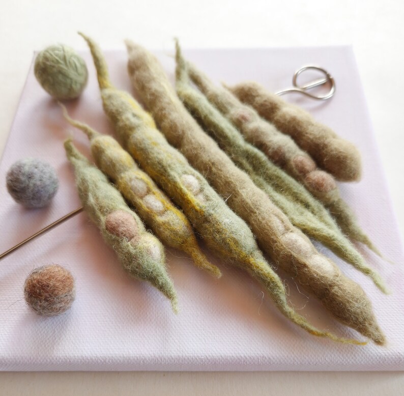 Genetics art textile 3-D picture collage of handmade felt bean pods on a skewer wool, metal, canvas on wooden subframe image 2