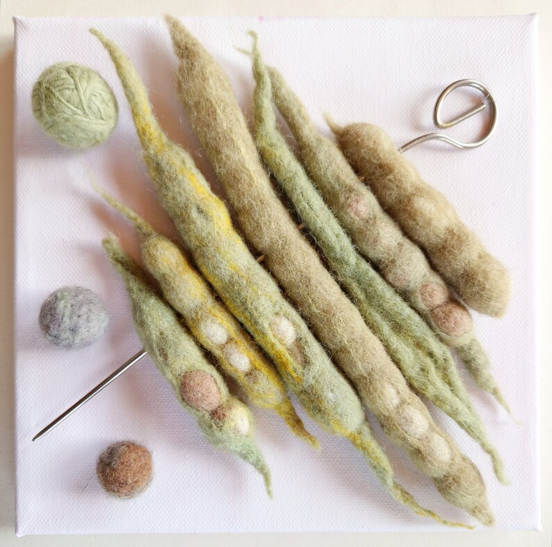 Genetics art textile 3-D picture collage of handmade felt bean pods on a skewer wool, metal, canvas on wooden subframe image 4