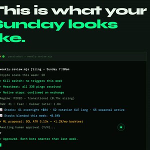 May include: Dark green graphic with the text "This is what your Sunday looks like." A code window displays text about crypto scans, triggers, and stock data. The text is in white and green.