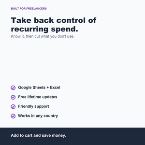 Subscription Tracker Spreadsheet, Monthly Expense Manager (Google Sheets, Excel) image 8