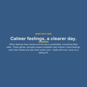 Autism ADHD Visual Support Printables, Feelings Calm Down Cards, Routine Charts (Digital Download) image 2