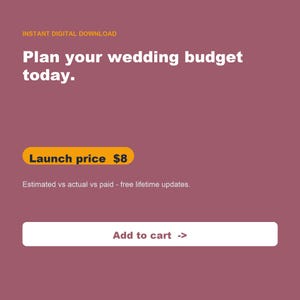 Spreadsheet bruiloftsbudgetplanner (Google Spreadsheets, Excel) afbeelding 9