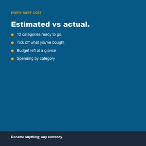Baby Budget Planner, First Year Registry Cost Tracker (Google Sheets, Excel) image 3