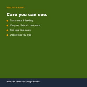 Pet Care Tracker, Daily Routine Log, Health & Costs (Google Sheets, Excel) image 4