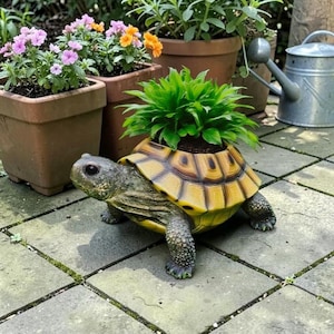 May include: A decorative turtle-shaped planter with a yellow and brown shell, holding a vibrant green plant. The turtle has a detailed, textured appearance and is placed on a stone surface. Other potted plants and a watering can are in the background.