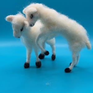 Könnte beinhalten: Zwei handgefertigte, weiße Filz-Woll-Lämmer mit schwarzen Hufen stehen auf einer blauen Oberfläche. Ein Lamm steht aufrecht, während das andere anscheinend darauf klettert. Die Lämmer haben kleine, dunkle Augen und flauschige Wolle.