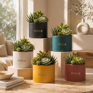Puede incluir: Cinco macetas cilíndricas en negro, verde azulado, blanco, amarillo y terracota, cada una con diversas suculentas verdes. La palabra "nice" está impresa en letras doradas en el frente de cada maceta, dispuestas sobre bloques de piedra.
