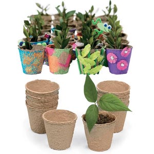 May include: A collection of small, light brown fiber pots, some plain and others decorated with colorful paint, pipe cleaners, and googly eyes. Several pots contain small green plants, while others are stacked empty in the foreground.