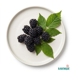 May include: A cluster of dark purple blackberries with several bright green serrated leaves arranged on a smooth, circular, off-white ceramic plate. The fruit has a textured, bumpy surface and is positioned centrally on the plate.