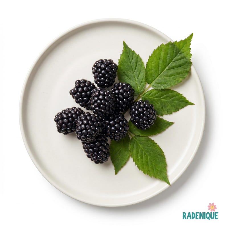 May include: A cluster of dark purple blackberries with several bright green serrated leaves arranged on a smooth, circular, off-white ceramic plate. The fruit has a textured, bumpy surface and is positioned centrally on the plate.