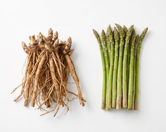 May include: A bundle of light brown asparagus roots with thin, fibrous tendrils positioned next to a bunch of fresh, vibrant green asparagus spears with tightly closed tips. The text RADENIQUE with a small flower icon is in the bottom corner.