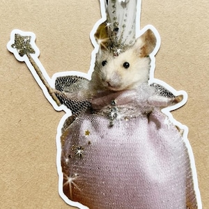 rat in a princess dress Princess Mouse Rat