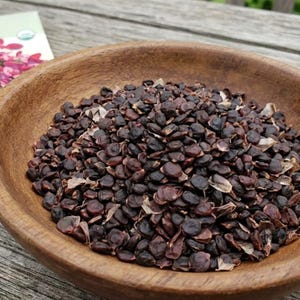 May include: A round, dark brown wooden bowl filled with a large quantity of small, dark, round seeds. The seeds have a matte, textured surface and are mixed with tiny, light-colored, papery husk fragments. A partial seed packet is visible nearby.
