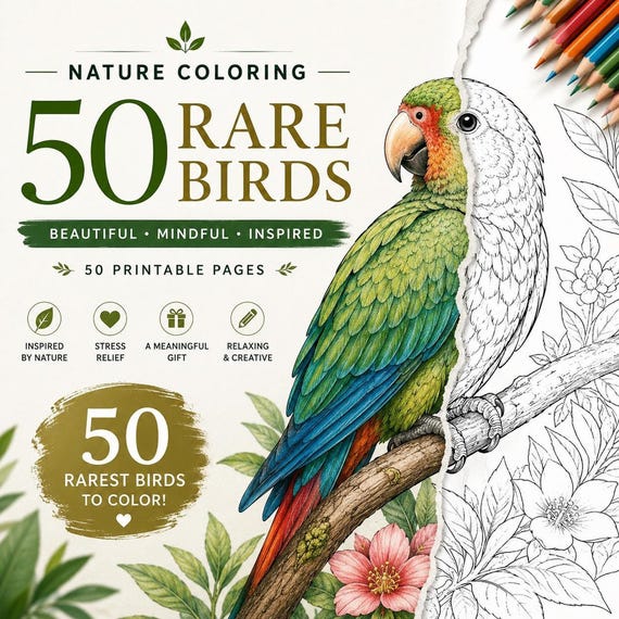Simple Kids Nature Coloring PDF Bundle, 50 Rare Printable Pages