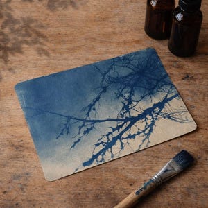 Peut inclure: Une impression cyanotype de branches d'arbres sur un fond de ciel bleu dégradé, avec deux flacons en verre brun et un pinceau sur une surface en bois. L'impression a une esthétique vintage.