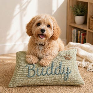 Peut inclure: Un coussin rectangulaire vert sauge texturé avec le nom Buddy brodé en lettres cursives bleu sarcelle foncé au centre, accompagné d'une petite icône de patte brodée marron située dans le coin supérieur droit.