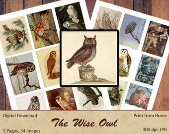 The Wise Owl Digital Image Ephemera Kit / Junk Journal / Scrapbooking / Paper Crafts / Collage Art / Cards / Tags / Printable Download