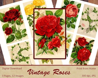 Vintage Roses Journal Cards / Digital Image Ephemera / Junk Journal / Scrapbooking / Paper Crafts / Collage Art / Tags / Printable Download