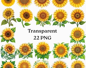 Paquete de imágenes prediseñadas de girasoles, 22 diseños florales en formato PNG, fondo transparente (descarga digital)
