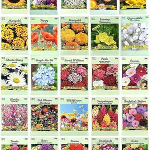 25 sobres surtidos de semillas de flores / Más de 10 variedades / Mezcla de caléndulas, zinnias, amapolas, boca de dragón y flores silvestres
