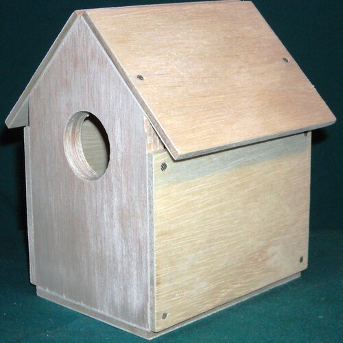 Cottage Bird House Kit Etsy