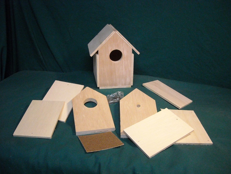 Bird House Kit Nail Together Scout Project Etsy