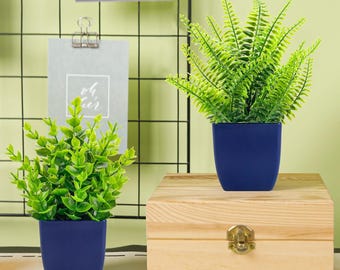 Fake Plants 2 Pack Mini Artificial Plants Blue Pots Indoor Home Decor