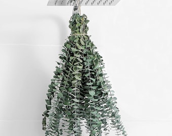10 Dried Eucalyptus Stems for Shower, Farmhouse Bathroom & Wedding Decor