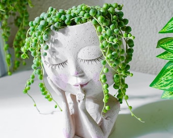 String of Pearls Live Succulent, Trailing Hanging Houseplant 4 Inch