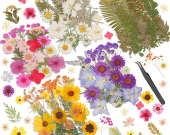 Dried Flowers for Resin Art, Botanical Decor & DIY Craft Flower Kit