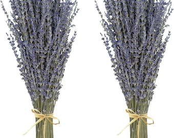 Dried Lavender Bundles for Shower, Bathroom Decor & DIY Crafts 200+ Stems