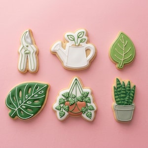 May include: Six sugar cookies decorated with garden-themed icing. The shapes include white pruning shears, a white watering can with a sprout, a green leaf, a dark green monstera leaf, a hanging plant in a terracotta pot, and a snake plant in a pot.