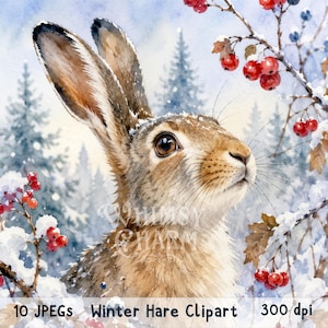 May include: A watercolor illustration of a brown hare with long ears, surrounded by snow-covered branches and bright red berries. The text "Whimsy Charm" is overlaid in the center, with "10 JPEGs Winter Hare Clipart 300 dpi" at the bottom.