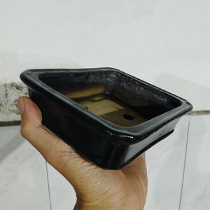 Può includere: Un vaso per bonsai rettangolare in ceramica nera con finitura lucida. Il vaso ha un bordo leggermente rialzato e un foro di drenaggio sul fondo. L'interno è di colore marrone chiaro. Il vaso è tenuto da una mano.