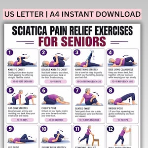 以下が含まれることがあります： Sciatica Pain Relief Exercises for Seniorsと題された白い情報ポスター。紫色のシャツと青いズボンを着用した人物が様々なストレッチを行う様子を描いた16個の番号付きイラストと、説明文および回数が記載されています。