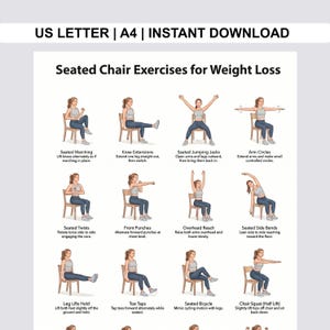 May include: A printable exercise guide titled "Seated Chair Exercises for Weight Loss." The guide features illustrations of various exercises, including seated marching, knee extensions, jumping jacks, arm circles, twists, punches, overhead reach, side bends, leg lifts, toe taps, bicycle, and chair squats.